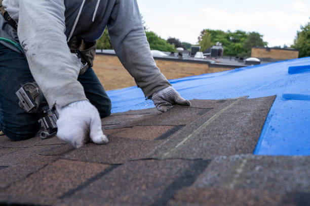 Quick and Trustworthy Emergency Roof Repair Services in Lely, FL