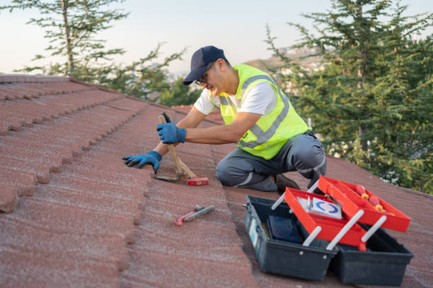 Best Flat Roof Repair Services  in Lely, FL
